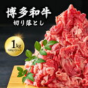 【ふるさと納税】 博多和牛切り落とし1kg(500g×2p） Y22