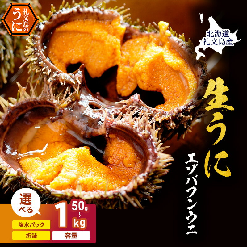 【ふるさと納税】塩水と折を選べて容量も選べる　北海道 礼文島産 採れたて ミョウバン不使用 エゾバフンウニ 塩水パック 50g～1kg［株式会社やまじょう］【 うに ウニ 雲丹 生うに 塩水うに バフンウニ 滅菌海水 海鮮 うに丼 濃厚 甘み 】　お届け：2026年6月～7月末まで