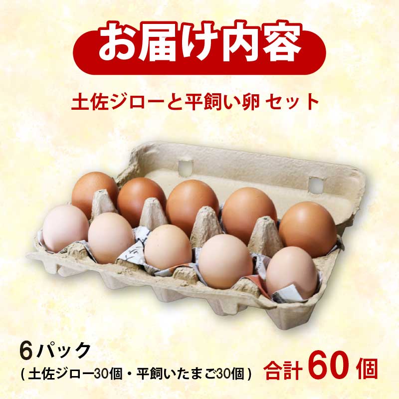 土佐ジローの卵と平飼い卵 セット 各30個(10個×6パック) 合計60個 | たまごのおくだ 新鮮 土佐ジロー 平飼い 卵 たまご 60個 鶏卵 卵黄 エッグ たまごかけ ご飯 玉子 タマゴ 玉子焼き たまご焼き すき焼き 鶏 ケーキ セット 2種 食べ比べ 産地直送 国産 ふるさと納税 高知県 南国市