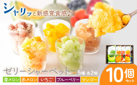 ゼリーシャーベット 10個セット(5種類×各2個)  道の駅七城メロンドーム 《30日以内に出荷予定(土日祝除く)》メロン いちご マンゴー ブルーベリー シャーベット 洋菓子 お菓子 おやつ ゼリーシャーベット 送料無料