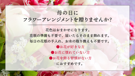 【 母の日 】 フラワー アレンジメントS 花色おまかせ ギフト プレゼント 花 お祝い 贈答 記念日 [CT081ci01]