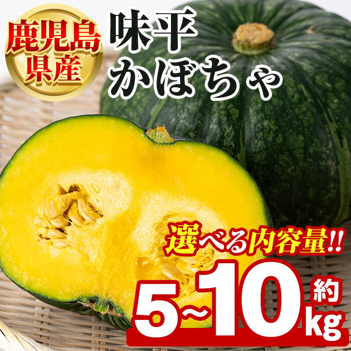 【ふるさと納税】＜先行予約受付中！2025年5月以降発送予定＞＜内容量が選べる！＞鹿児島県産 味平かぼちゃ(約5〜10kg) 国産 野菜 かぼちゃ カボチャ 南瓜 煮物 天ぷら バーベキュー BBQ スイーツ お菓子【松永青果】