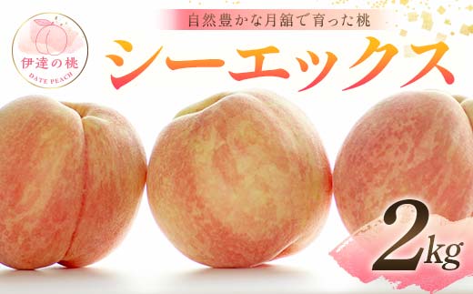 
            自然豊かな月舘で育った桃 シーエックス2kg（5～8玉） 桃 もも モモ 果物 くだもの フルーツ 名産品 国産 食品 F21C-064
          