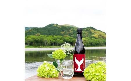 日本酒 酔鯨飲み比べセット 純米大吟醸 象（Sho）丞（Joh）寅（Tora）兵庫山田錦50% 720ml 各1本 合計4本 ／ お酒 酒 さけ すいげい 地酒 アルコール おさけ【株式会社とさもん】