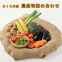 【ふるさと納税】さくら市産の農産物詰め合わせ≪野菜 新鮮 国産 栃木県 送料無料≫