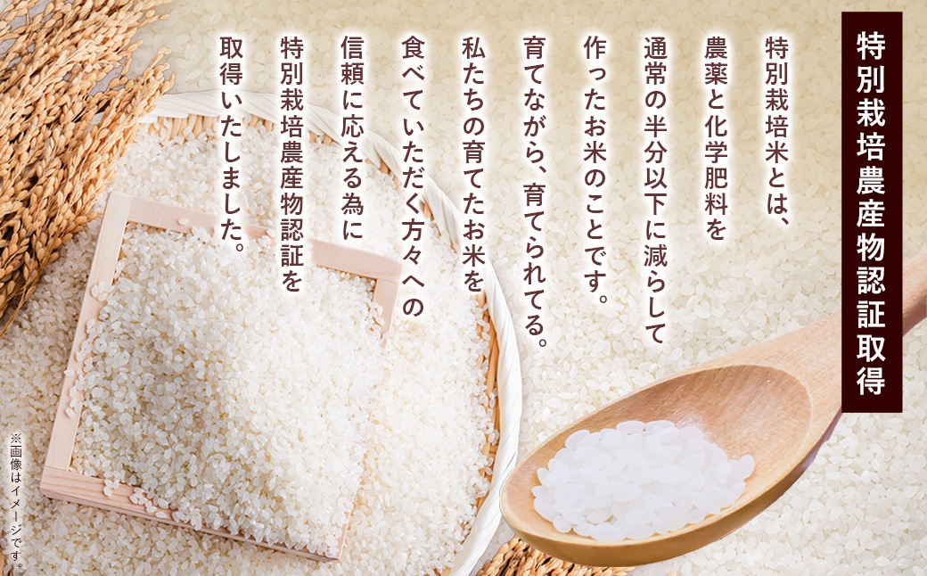 【令和7年産】一等米・特別栽培米 5kg【ゆめぴりか白米】5kg×1袋（農薬7割減）