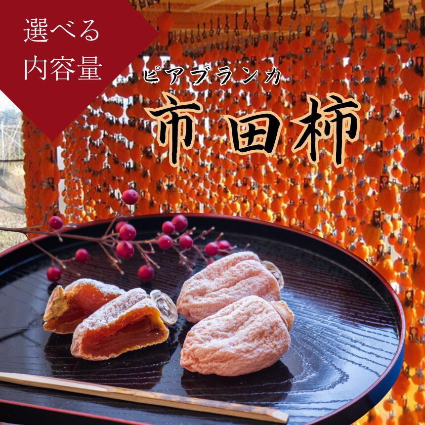 【ふるさと納税】ピアブランカ 選べる 市田柿 5種類 | 果物 くだもの フルーツ 市田柿 柿 干し柿 長野県 信州 南信州 飯田市