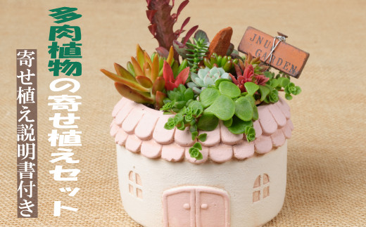 
                  【 多肉植物 の 寄せ植え セット （メゾンラウンドポット）丸屋根】 サボテン 多肉 植物 詰め合わせ つめあわせ おまかせ 鉢 鉢植え 鉢セット ポット 園芸 ガーデニング 植物 観葉植物 インテリア 雑貨 小物 メゾンラウンドポット 丸屋根 置物 卓上 室内 飾り 自宅用 家庭用 ギフト 贈答 プレゼント 贈り物 岬のサキュレントハウス 高知県 室戸市
                