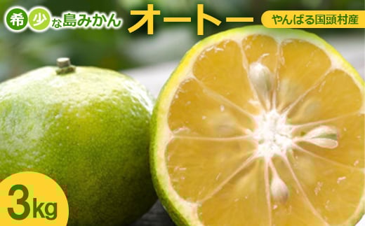 ＜2025年10月から順次発送＞やんばる国頭村産 希少な島みかん「オートー」3kg【1662091】