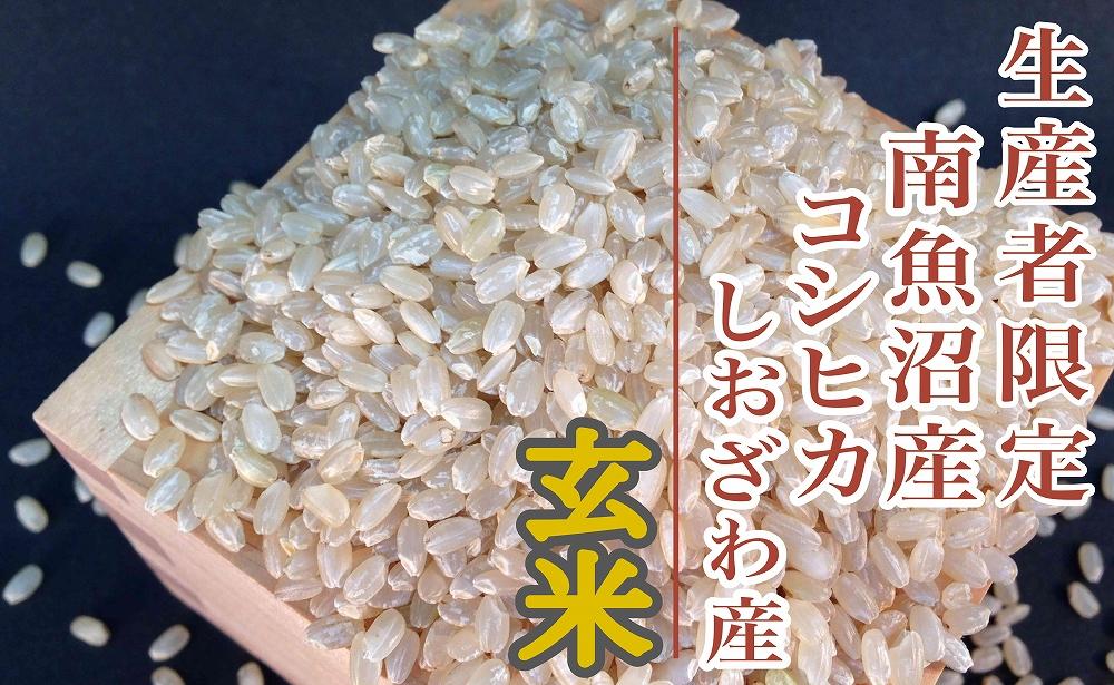 【新米予約・令和6年産】定期便３ヶ月：玄米２Kg 生産者限定 南魚沼しおざわ産コシヒカリ