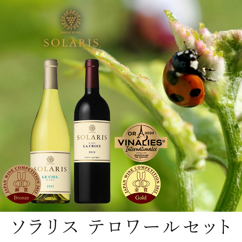 テロワールセット(紅白セット)  ワイン お酒 赤ワイン 白ワイン ワインセット 果実味 しっかりしたタンニン 