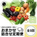 【ふるさと納税】【3回定期便】新鮮な地場 野菜・果物 おまかせ詰合せ（ドレッシング付）3回 定期便 JA伊万里 F30-11