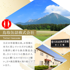 大山カリーセット(2種・計6個)鳥取県 境港市 カレーライス カレー ビーフカレー ビーフカリー チキンカレー チキンカリー 黒毛和牛 大山どり 鶏 鳥 ブランド鶏 本格 本格派 レトルト 国産 野菜