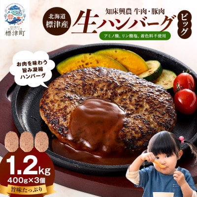 生ハンバーグ 400g×3個セット 冷凍でお届け 国産 牛肉 豚肉 ギフトにもおすすめ【配送不可地域：離島】【1700040】