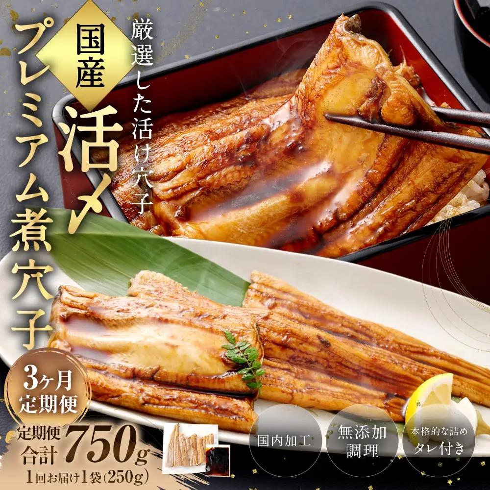 【 3ヶ月定期便 】 国産活〆 プレミアム煮穴子 250g （ 250g × 1袋 ） タレ （ 50g ） 付 魚 魚類 お魚 穴子 アナゴ あなご 魚料理 冷凍 保存料不使用 着色料不使用 添加物不使用