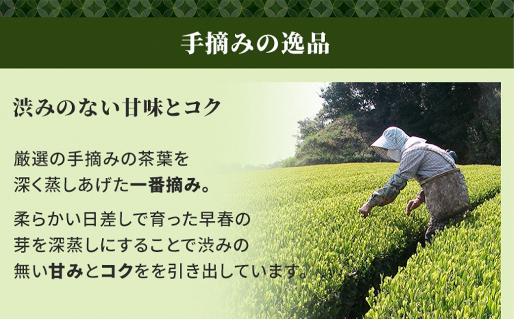 静岡茶 たっぷり 1.2kg（7種 12袋） 逸品 深蒸し茶 茶 茶セット 緑茶 深蒸し煎茶 高級煎茶 荒茶 くき茶 静岡緑茶 日本茶 粉茶