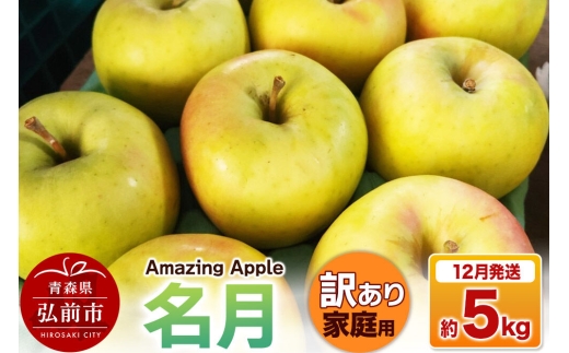 【26年12月発送】りんご 名月【訳あり】家庭用 約5kg [りんご 名月 訳あり 家庭用 5kg アップル おいしい 果実 果物 美味 林檎 青森県 弘前市]
