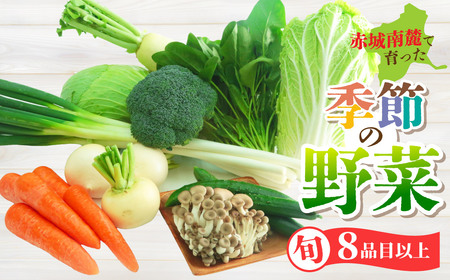 野菜 赤城南麓で育った季節の野菜 8品以上