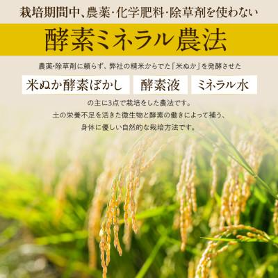 ふるさと納税 羽島市 「つちのおと」玄米初霜パックご飯　60個 |  | 02