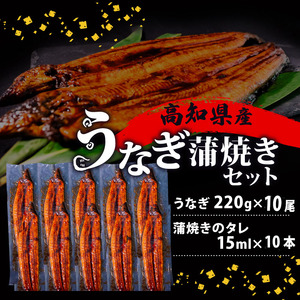 うなぎ 国産 高知県産 鰻 蒲焼き 220g×10尾 セット 蒲焼きのタレ 付き 冷凍 高知県 須崎 ( うなぎ 蒲焼き うなぎ 冷凍 うなぎ スタミナ うなぎ 土用の丑の日 うなぎ タレ うなぎ 小