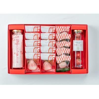 ふるさと納税 真岡市 苺が主役セレクションC |  | 02