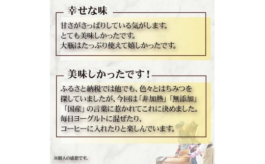 蜂蜜 ローハニー 130g 2本 500g 1本 セット はちみつ 国産 非加熱 百花蜜 生はちみつ 純粋 ハチミツ ハニー お取り寄せ お土産 発酵食品 下田みつばち 静岡県 下田市 伊豆