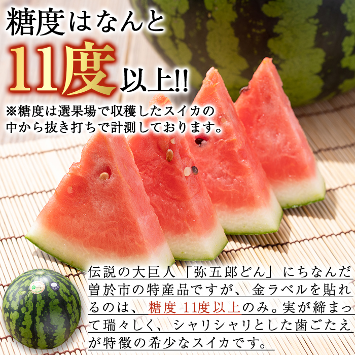＜選べる内容量！＞＜2025年7月中旬以降発送予定＞《期間限定》やごろうスイカ1個(L玉・1個6kg以上) 【曽於市観光協会】A484 【L玉（6kg以上）×2個】