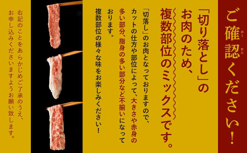 【3パック】味付け 黒毛和牛切り落とし 1.2kg 小分け 400g×3 訳あり 部位不揃い 特別寄附金額 CFX0005