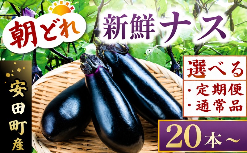 
                  【先行受付】 【選べる】 朝どれ ナス 20本～50本 採れたて 産地直送 通常品 定期便 新鮮 旬 野菜 やさい 茄子 期間限定 麻婆茄子 麻婆ナス 天ぷら 麻婆 はさみ揚げ 煮浸し にびたし 煮びたし フライ 焼きナス 焼ナス ヤキナス 焼き茄子 揚げびたし あげびたし 田楽 野菜炒め 味噌汁 ふるさと納税 野菜 人気 プレゼント 安田川 TR-0001all
                