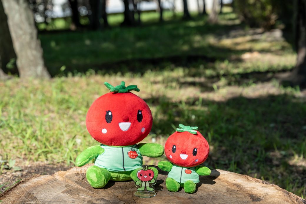 北本トマトイメージキャラクター とまちゃん ぬいぐるみ( 大 ) ( 小 ) アクリルスタンドセット | とまちゃん ぬいぐるみ アクリルスタンド マスコット ご当地 ゆるキャラ アクスタ ご当地キャラクター マスコット イメージキャラクター グッズ 推し 推し活 グッズ トマト グッズセット 北本市観光協会 埼玉県 北本市