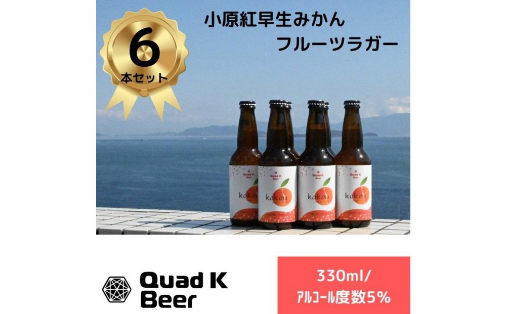 
                  香川県産クラフトビール「Quad K Beer」 kokou 計6本
                