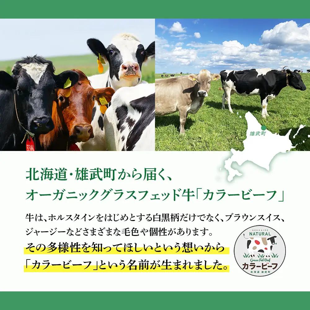 北海道雄武町産《有機JAS認定》きくっち有機牛乳（900mlｘ2本）【01119】