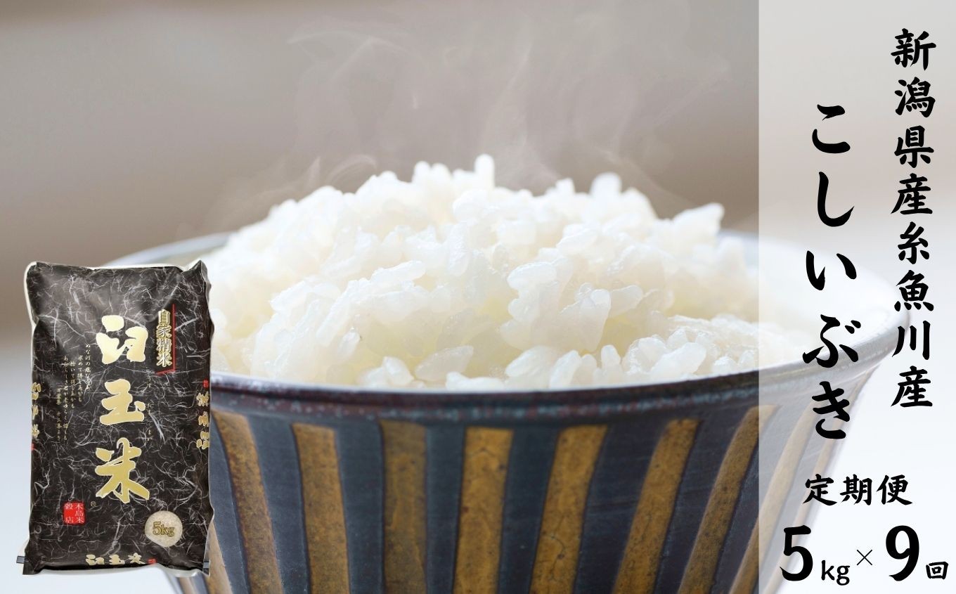 
            令和7年産新米【定期便】新潟県産こしいぶき『臼玉米』5kg×9回 毎月お届け 全45kg 糸魚川産 白米 2025年産 木島米穀店【米 お米 ご飯 ライス ふるさと納税米 ブランド米 コシイブキ 食品 おすすめ 人気 新潟県 糸魚川市 9か月 9ヵ月 9ヶ月】
          