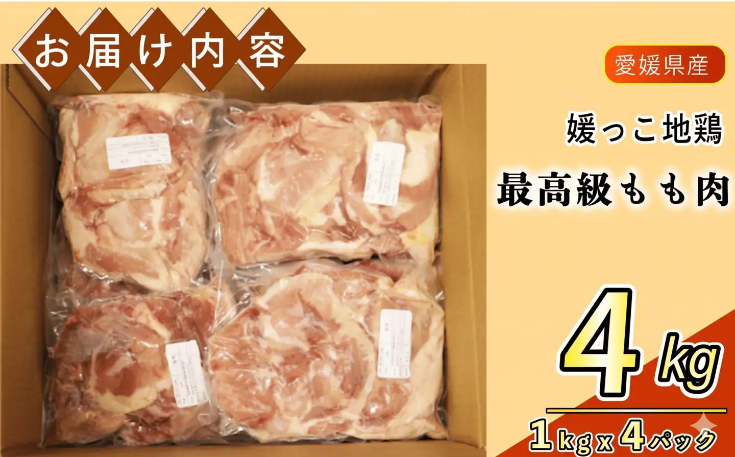 地鶏 愛媛 媛っこ地鶏 もも肉 約4kg ローカルスタンダード 愛媛 愛南