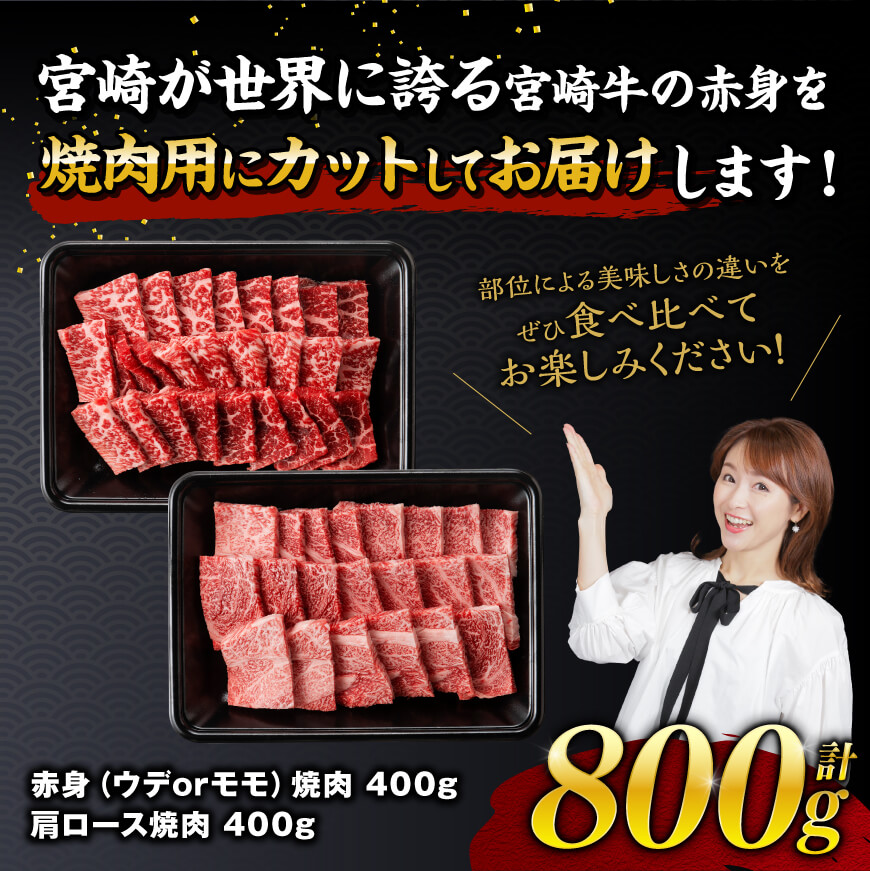 宮崎牛赤身霜降り焼肉2種 800g　牛肉[E11124]