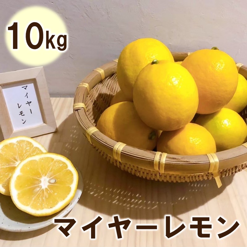 マイヤーレモン10kg 227-B1198