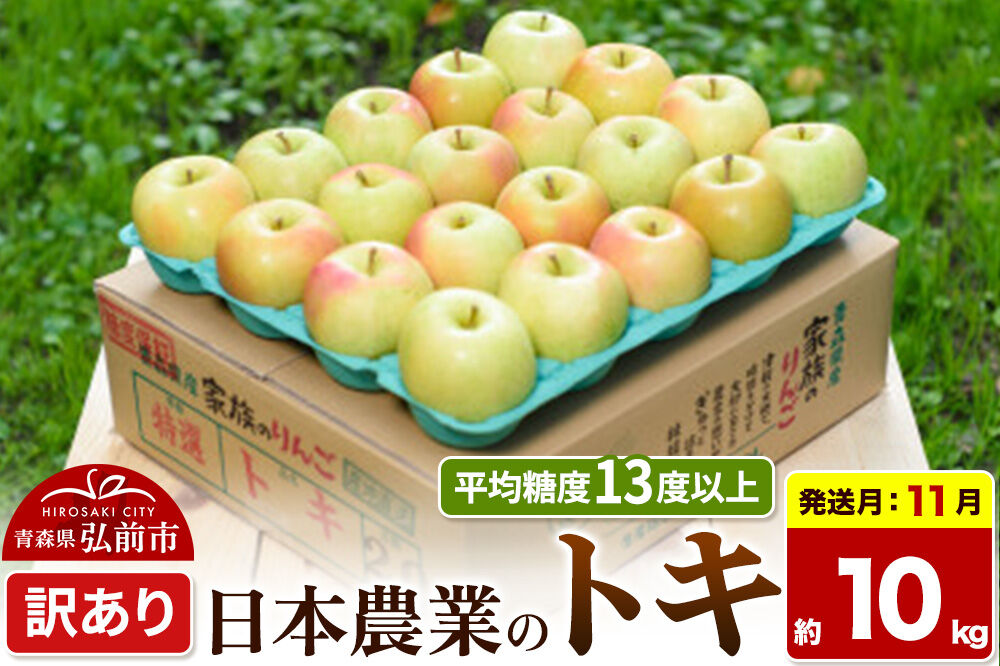 【26年11月発送】りんご トキ【訳あり】約10kg 平均糖度13度以上 青森県 弘前市 果物 フルーツ 林檎 リンゴ くだもの 不揃い 規格外 [先行受付 家庭用 産地直送 アップル 青森県 弘前市]