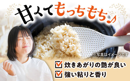 【食味最高ランク特A 2年連続受賞】【減農薬米】滋賀県湖北産 湖北のコシヒカリ 玄米30kg　滋賀県長浜市/株式会社エース物産[AQAK007]