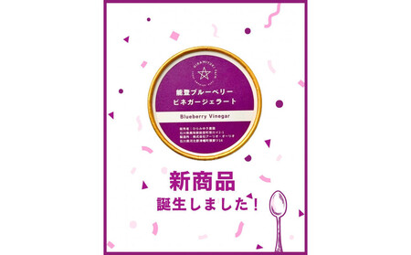 【復興支援】【新商品】能登ブルーベリービネガージェラート(6個)