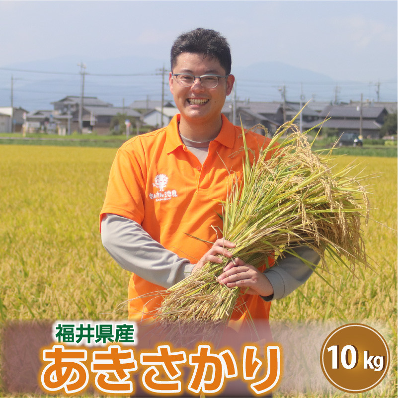 
            【先行予約】【令和7年産・新米】さんさん池見二代目のあきさかり10kg 【2025年9月下旬以降順次発送予定】 [C-0214]
          
