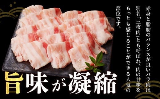 宮崎県産豚バラしゃぶしゃぶ用(計1kg) 肉 豚 豚肉 おかず 国産_T009-0133