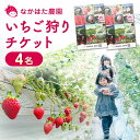 【ふるさと納税】いちご狩りチケット 4名 体験 熊本 山都町 農園直送 産地直送 熊本県産 山都町産 いちご イチゴ 苺 ストロベリー フルーツ 果物 【なかはた農園】[YBI027]