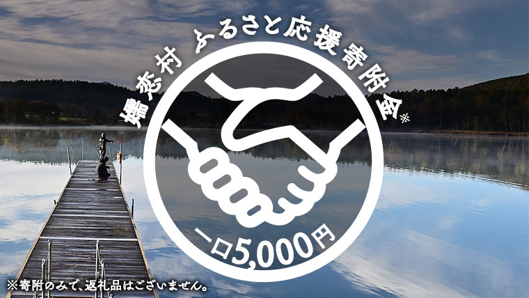 
【返礼品なし】群馬県 嬬恋村 ふるさと応援寄附金 5000円 寄附のみの応援 寄附のみ 返礼品なし 返礼品無し [AO016tu]
