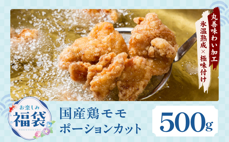 【夏の肉福袋】4種 1.9kg 焼肉セット（牛肉 切り落とし／牛ハラミ／豚肉 スペアリブ／鶏肉）【氷温熟成×極味付け 焼くだけ 食べ比べ ふくぶくろ お楽しみ 簡単調理】 mrz0154