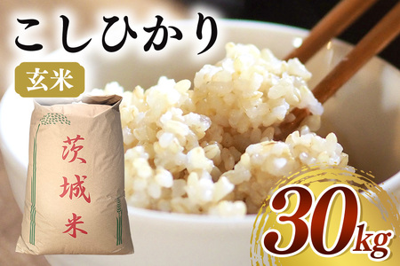【令和７年産】コシヒカリ 玄米30kg お米 米 玄米 ご飯 ごはん 国産米 産地直送 茨城県 石岡市 B08-002