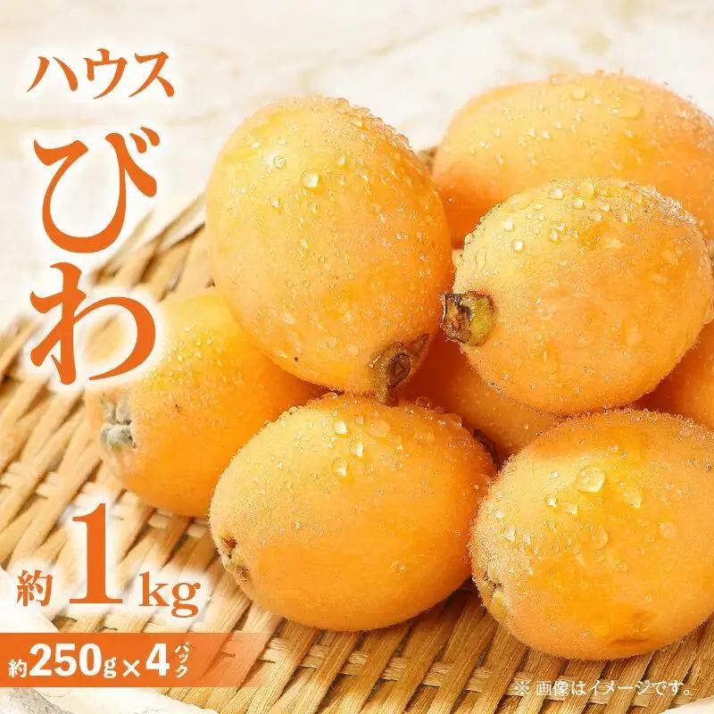 ハウスびわ 約1kg【2026-4月中旬～2026-5月上旬配送】| びわ