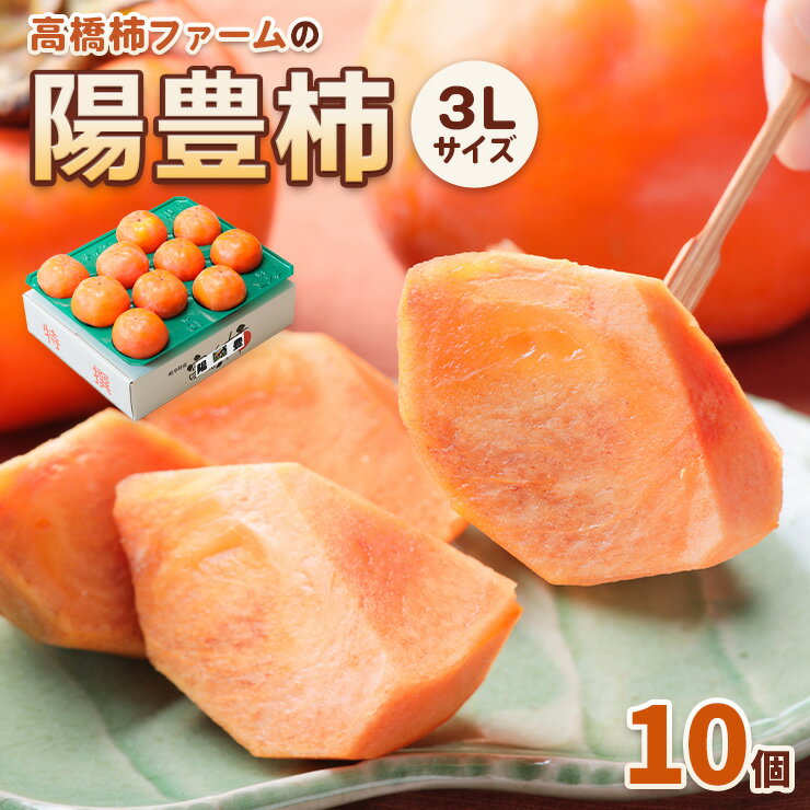 【ふるさと納税】[先行予約] 令和7年産 高橋柿ファームの陽豊柿 3Lサイズ 10個入り《11月上旬より発送予定》[1001]｜かき 陽豊 フルーツ カキ 果物 くだもの 産地直送 岐阜県 本巣市 13000円