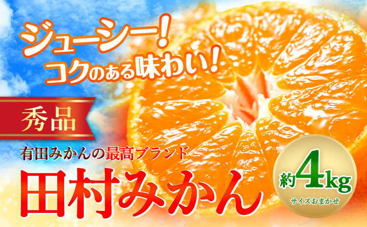 
【先行予約】みかん 田村 みかん 秀品 4kg サイズ指定なし 株式会社とち亀物産《11月下旬-1月中旬頃出荷》和歌山県 日高町 フルーツ くだもの 果物 柑橘 旬 ノーワックス 送料無料 紀伊国屋文左衛門本舗 蜜柑 ミカン オレンジ
