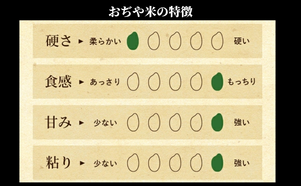 令和7年産魚沼産コシヒカリ定期便 5kg×10回（毎月お届け）（10か月連続お届け）JA魚沼 白米 魚沼 米 定期便