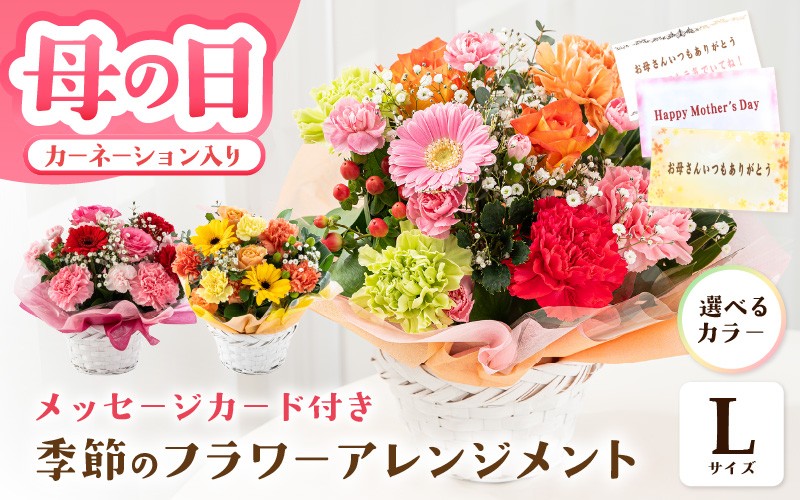
                  母の日対応可能！ 選べるカラー 季節のフラワーアレンジメント L 【カラー：レッド・ピンク / イエロー・オレンジ / カラフル】 お花 フラワー 花束 ギフト 生花 プレゼント 花束 花 記念日 お祝い 入学式 卒業祝い 結婚式 ウエディング フラワーギフト 贈り物 贈答 お祝い事 [B-20701] 
                